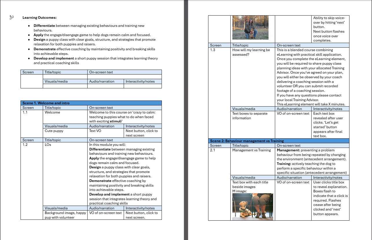 Storyboard document showing learning outcomes, scene structure and interaction design for the e-learning module
