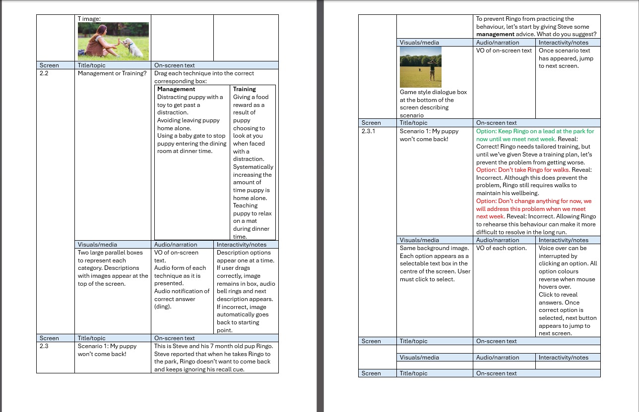 Storyboard document showing scenario-based learning design with drag-and-drop activities and branching choices